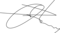 Signature of Kamil Tolon
