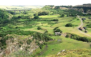 Site of quarry at Meldon - geograph.org.uk - 1505709