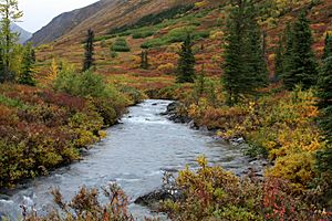 South Fork Eagle River, Alaska
