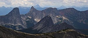 Steinbok, Ibex, Gemse, Anderson River Mountain