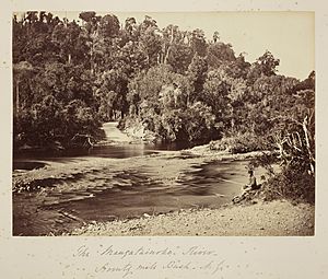 The Mangatainoko River, Seventy Mile Bush, N.Z