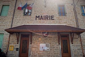 Townhall, Arandas
