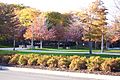 UIC East campus in autumn colors