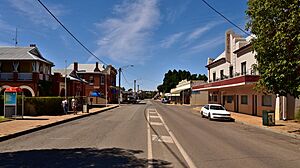 Vincent Street, Beverley, 2018 (01)