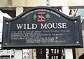 Wild mouse plaque
