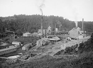 Wilson Portland Cement Works, Warkworth, Rodney County (21315063101) (cropped)