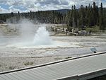 Yellowstone sawmillgeyser2