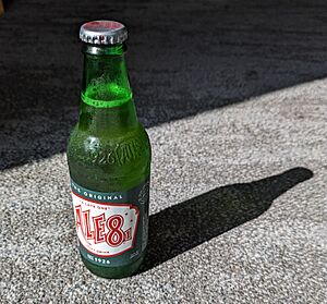 A bottle of Ale-8-One 1