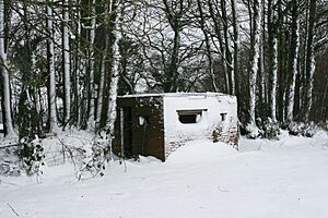 Airfield pillbox, Trickey Warren (geograph 3308797)