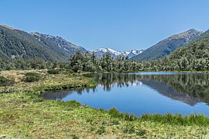 Alpine tarn on Lewis Pass 02