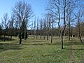 Armentia - 07
