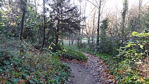 Battersea Park Nature Areas 5