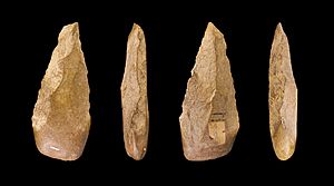 Biface Cintegabelle MHNT PRE 2009.0.201.1 V2