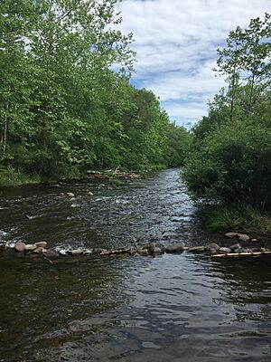 Brodhead Creek