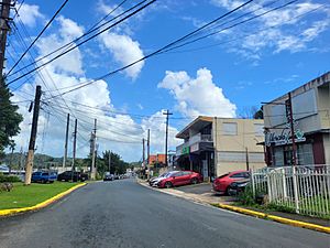 Puerto Rico Highway 165R in Contorno