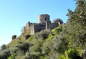 Castillo Jimena9