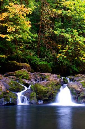 Cavitt Creek Falls (Douglas County, Oregon scenic images) (douDA0013).jpg