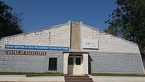 CentreofExcellence Sorghum