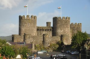 Conwy Castle (7989)