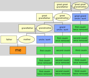 CousinTree
