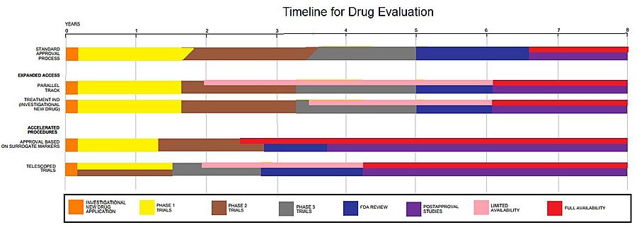 Drug Evaluation Process