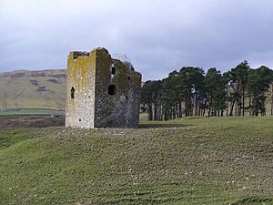 Dryhope Tower - geograph.org.uk - 925481