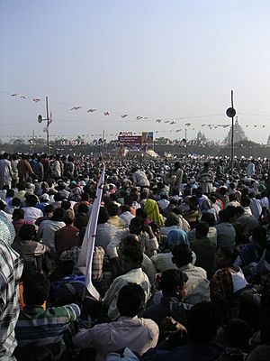 Dyfikolkata (54)
