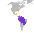 Elanoides forficatus map