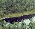 Ell Pond-Rhode Island kettle hole