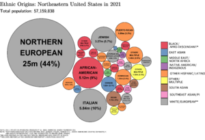 Ethnic Origins in the Northeastern United States