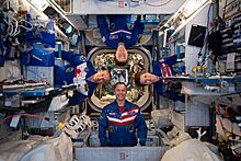 Expedition 59 crew members in their crew quarters