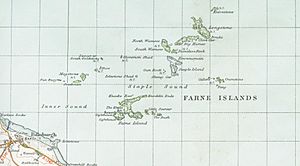 Farne Islandscroped2