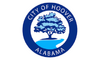 Flag of Hoover, Alabama