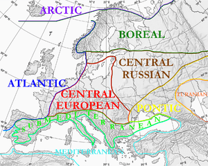 Floristic regions in Europe (english)