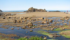 Fogarty Creek SRA 2 - Oregon