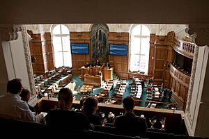 Graensehindringsdebat i Folketinget