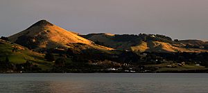 Harbour Cone Otago Peninsula
