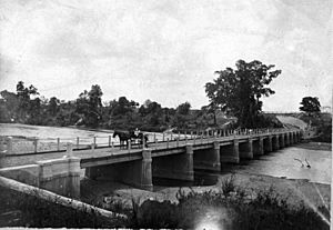 Herbert River Bridge, Ingham, Queensland circa 1890 (aka Gairloch Bridge).jpg