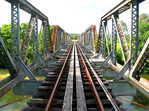Imbil Railway Bridge, view along the tracks (2009).jpg
