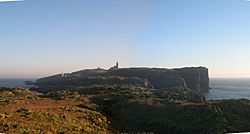 Isle of May panorama