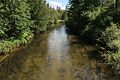 Jordan River Webster Bridge