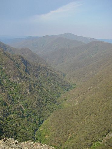 Kanangra view of valley 2002.jpg