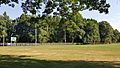 Lents Park, SE Portland, Oregon, July 2020 - 2