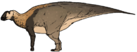 Life reconstruction of Jaxartosaurus aralensis.png
