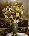 Lippmann photo flowers