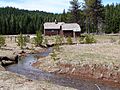 Lodgepole GS 3 - Rogue River NF Oregon