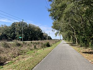 Lottieville, Florida