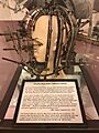 Machine of yore