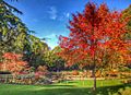 Main Gardens at Paultons Park