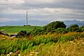 Mast at Bleasegale Hill - geograph.org.uk - 1394205